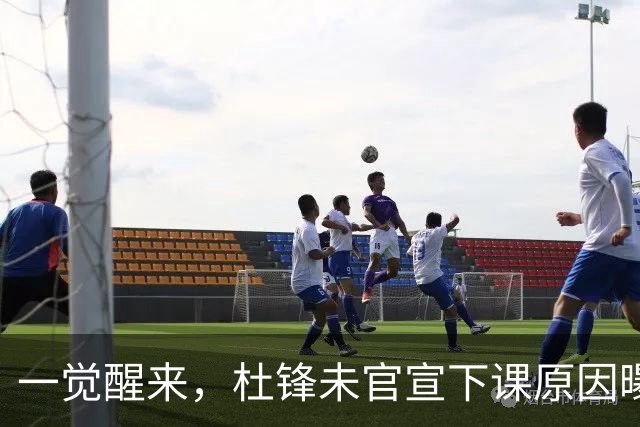 一觉醒来，杜锋未官宣下课原因曝光！徐杰确定留队，陈家政好消息