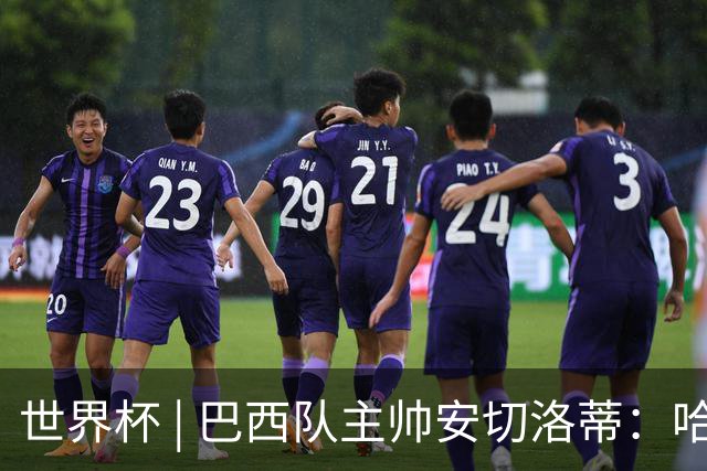 世界杯 | 巴西队主帅安切洛蒂：哈兰德决定了比赛胜负