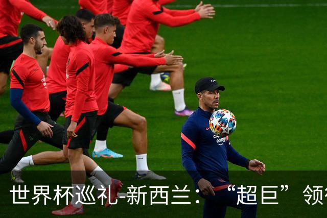 世界杯巡礼-新西兰：“超巨”领衔平民军团，小组突围不是梦！