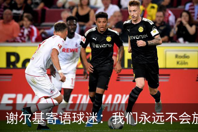谢尔基寄语球迷：我们永远不会放弃，将以更强大的姿态归来
