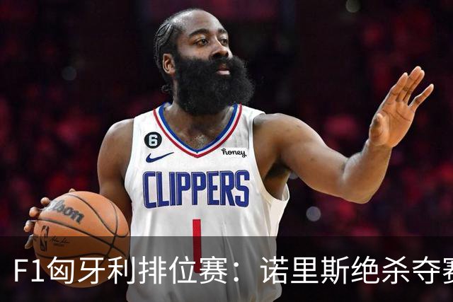 F1匈牙利排位赛：诺里斯绝杀夺赛季正赛首杆，汉密尔顿第二